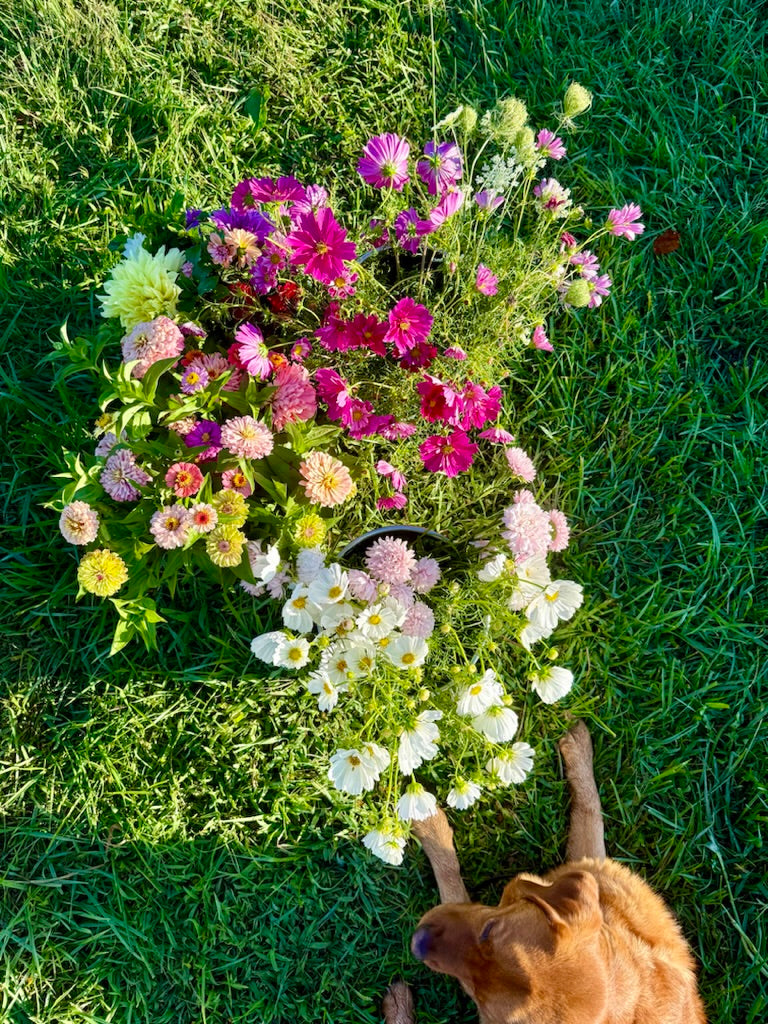 Spring Flower Subscription – 4 Farm-Grown Bouquets (Clyde, Ohio)