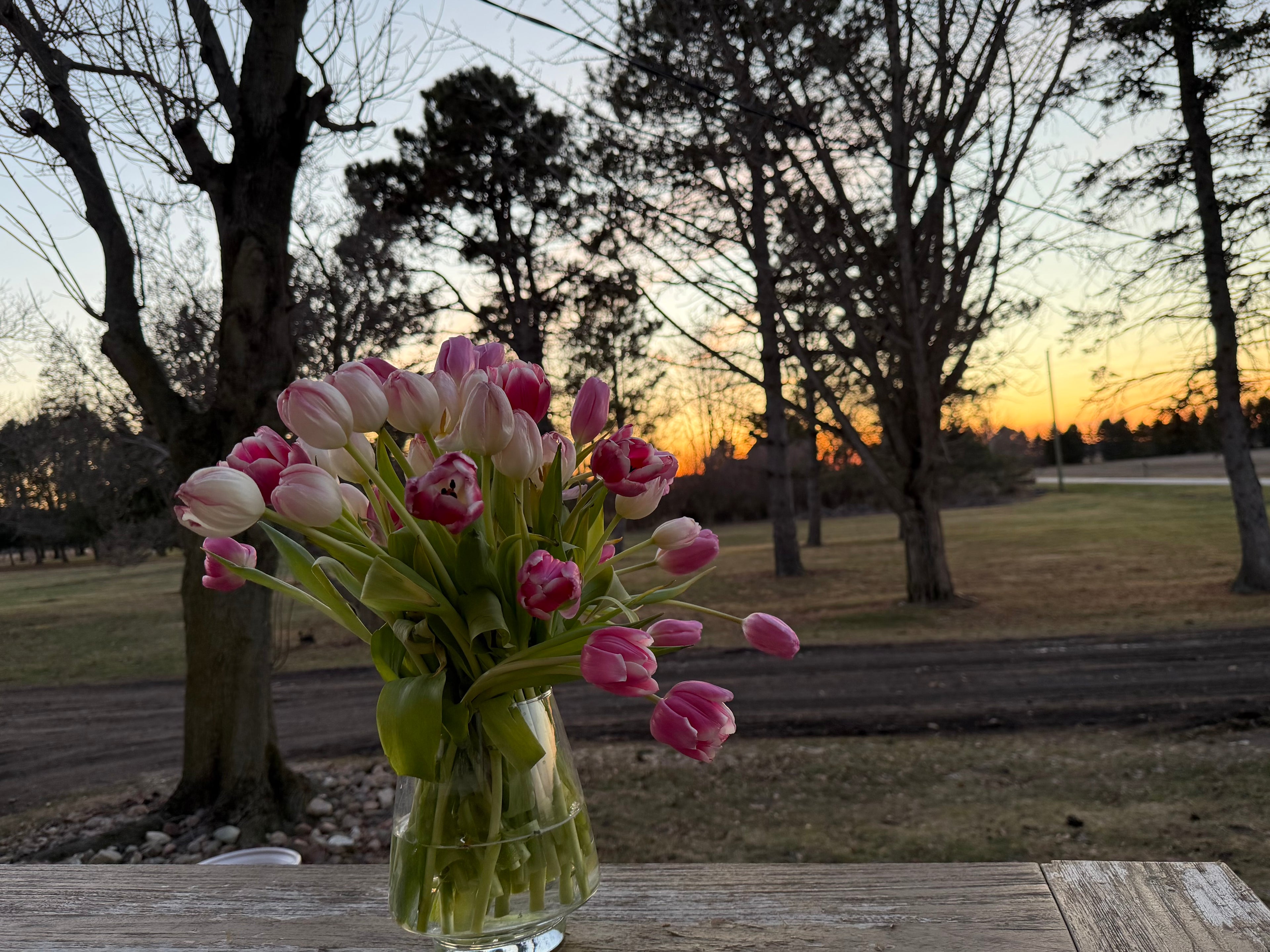 April Tulip Bouquets – Farm-Grown Tulips in Clyde, Ohio